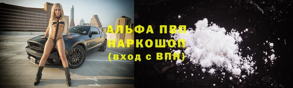 стафф Баксан